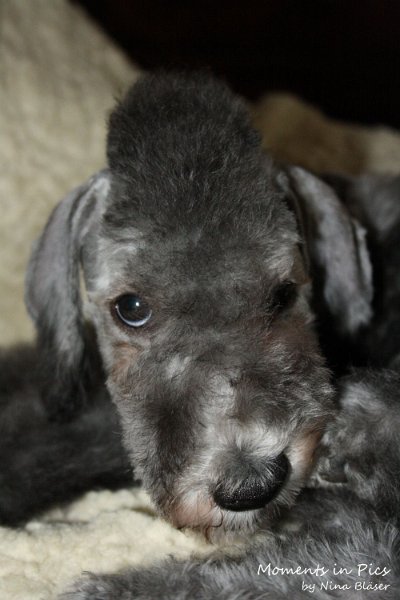 Antares 2009-08-01 & 02 (13).JPG